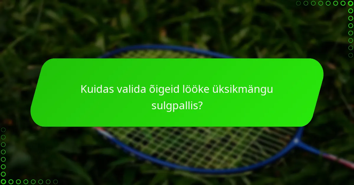 Kuidas valida õigeid lööke üksikmängu sulgpallis?